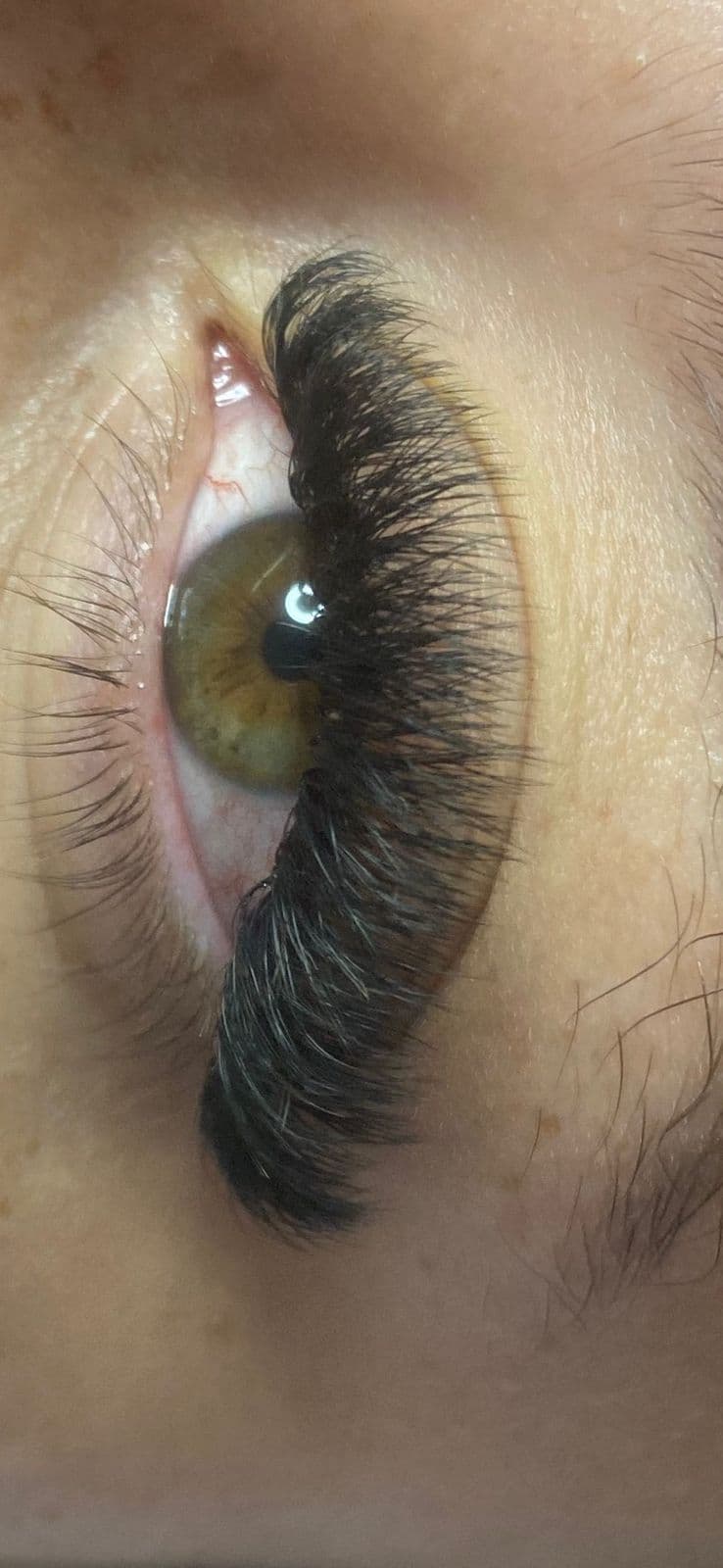 Transformação de Clássico Cisne