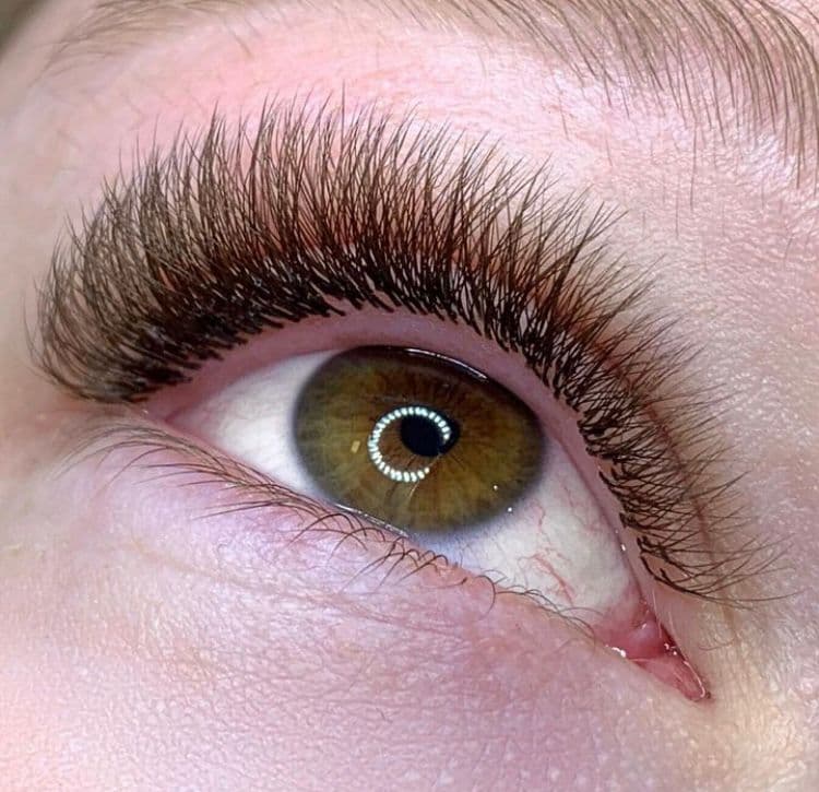 Transformação de Clássico Felina